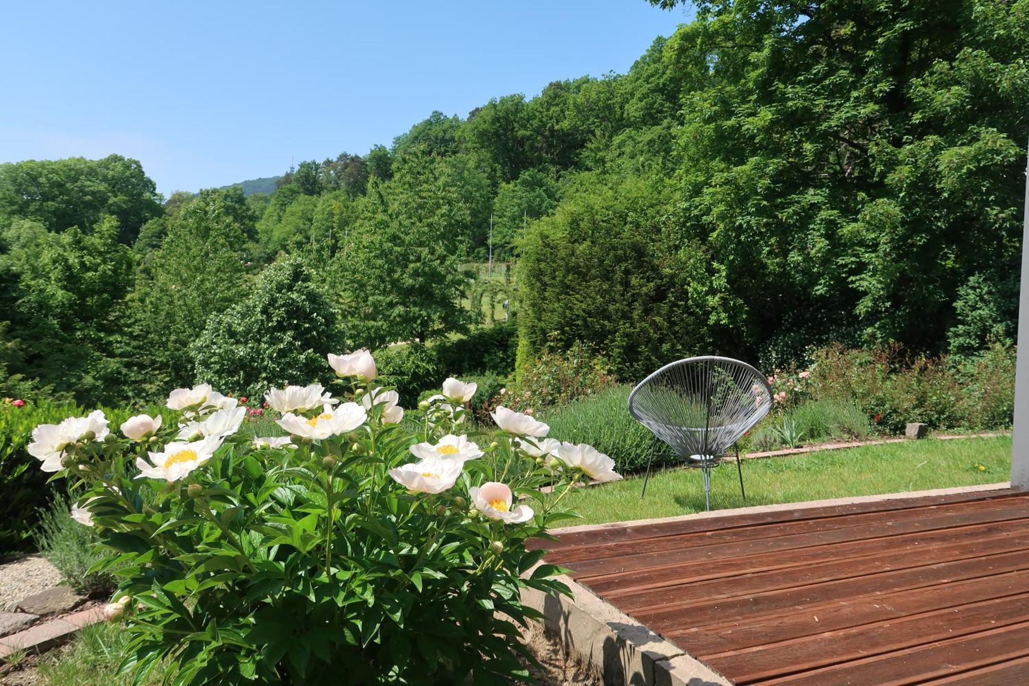 Apartment Im Rosentraum Baden-Baden